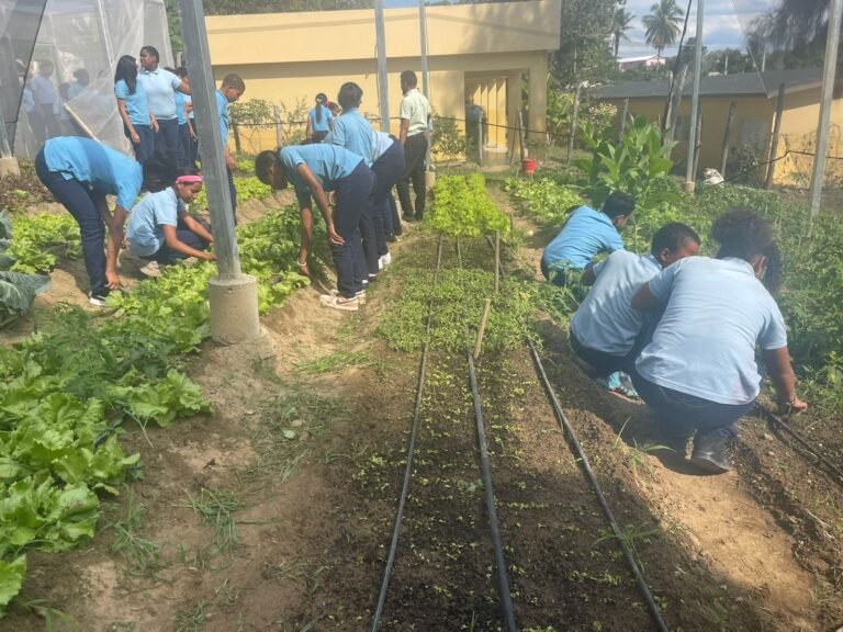 En el Centro Educativo en Artes José Cabrera se cosecha más que conocimientos.